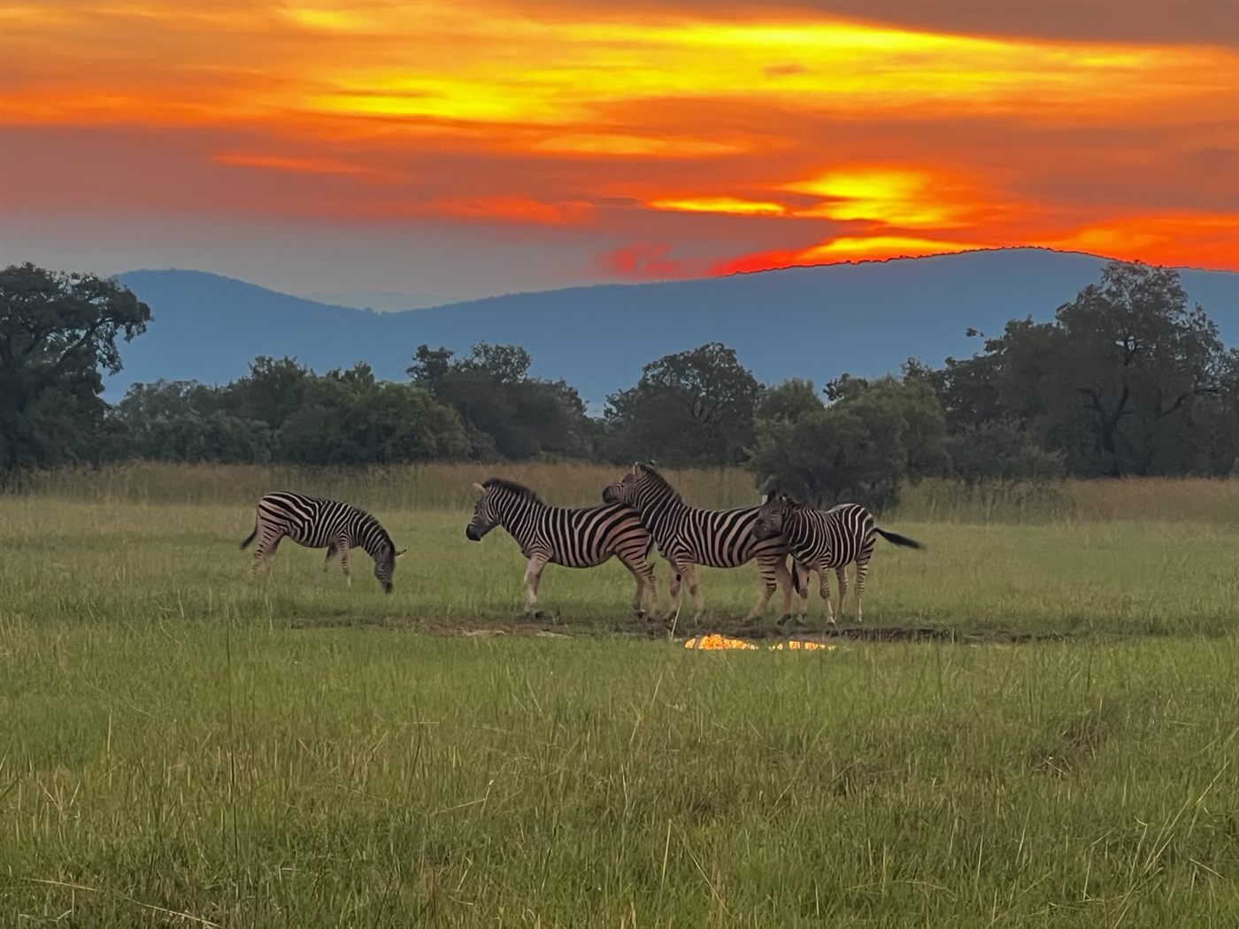 The sun setting over the open African landscape